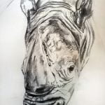 A pencil drawing of a rhino's head