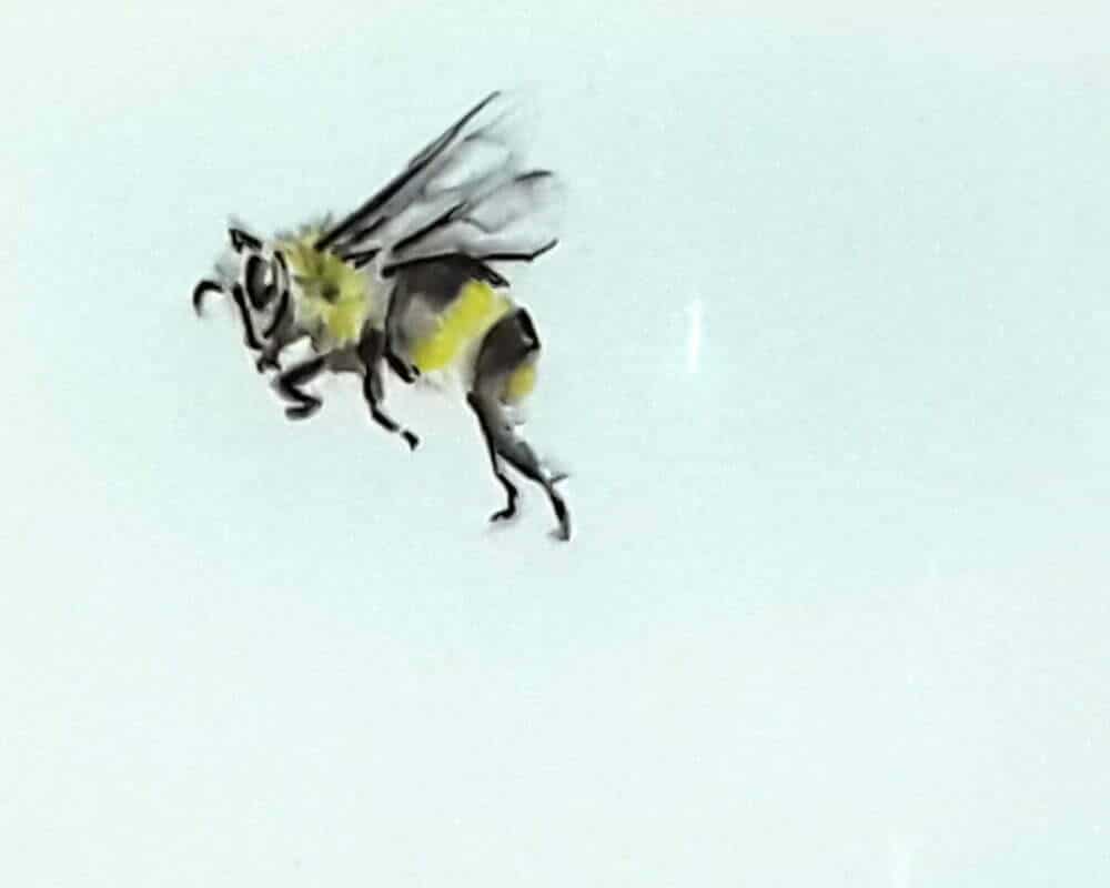A watercolor and pen drawing of a bee 3 by artsydee