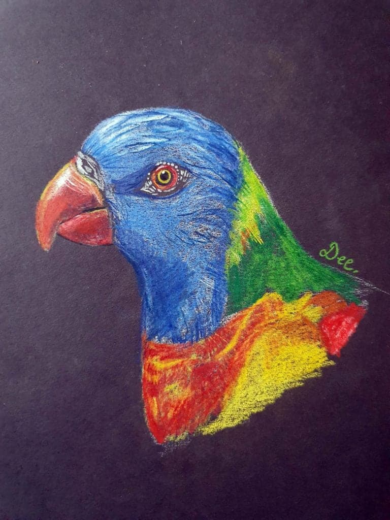 a drawing of a parrots head in bright colored pencil on black paper