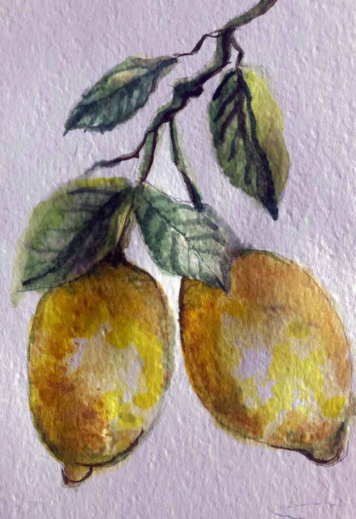 Watercolor lemons by Jennifer Krige