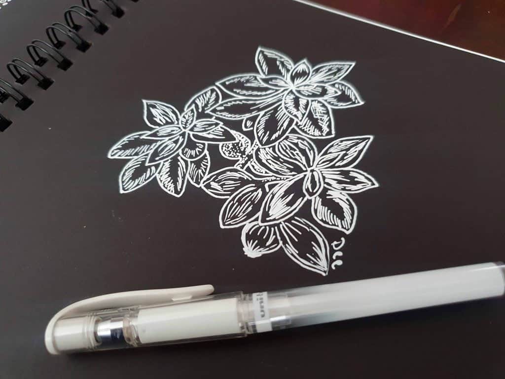 A drawing of a succulent plant with white gel pen on black paper