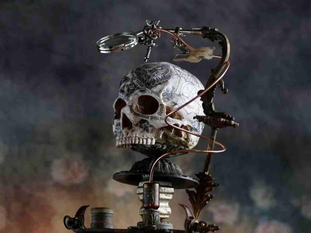 skull with metal connectors