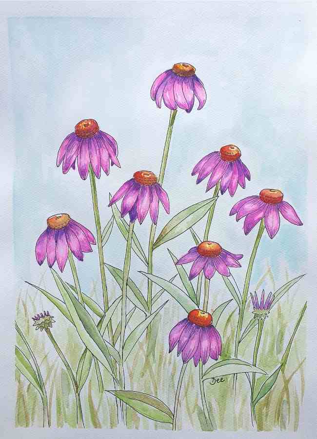 Painting of daisies in watercolor and pen by Dee Maene