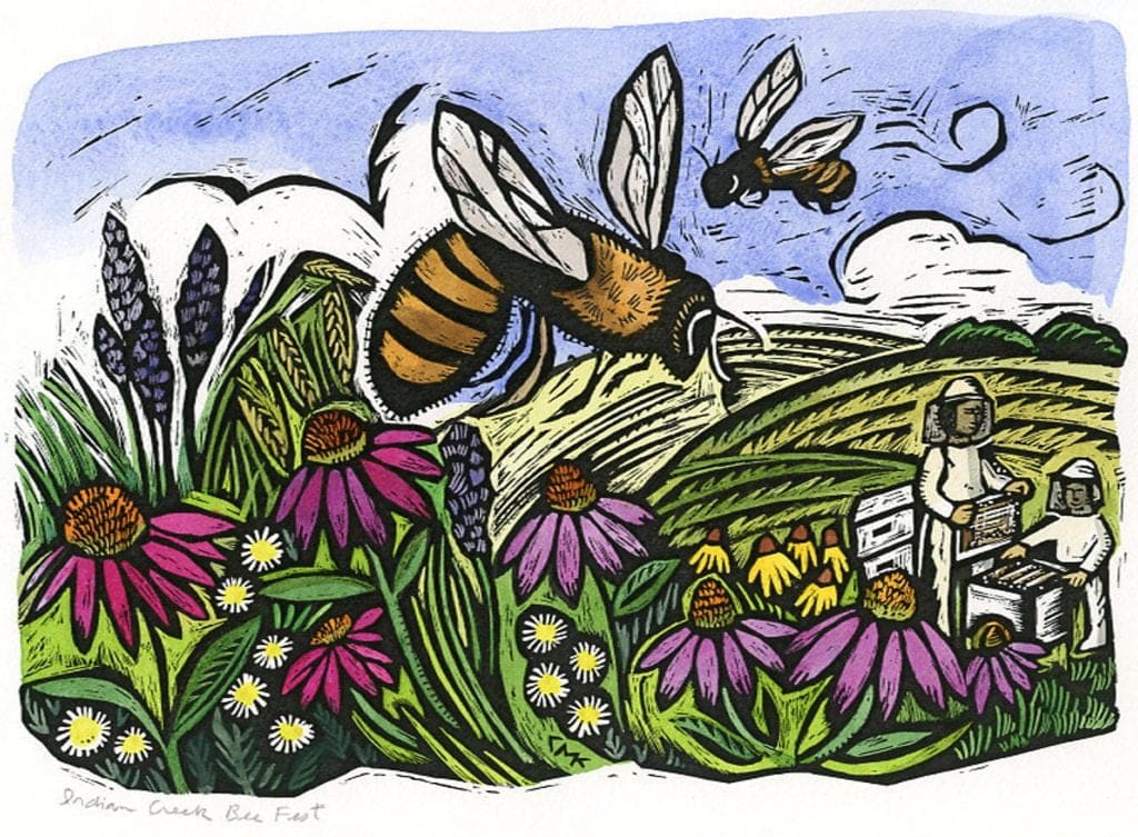 A scratchboard art piece of a bee in bright colors. Scratchboard art ideas - a Bee By Claudia Mcgehee