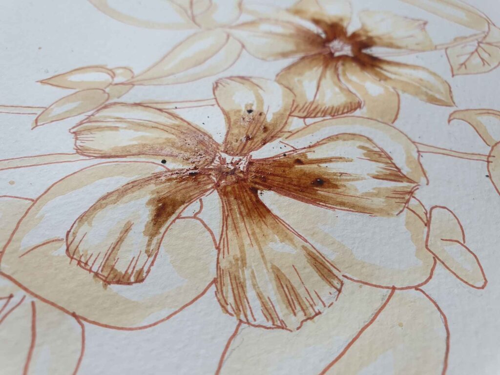Painting flowers in tea and coffee by Dee