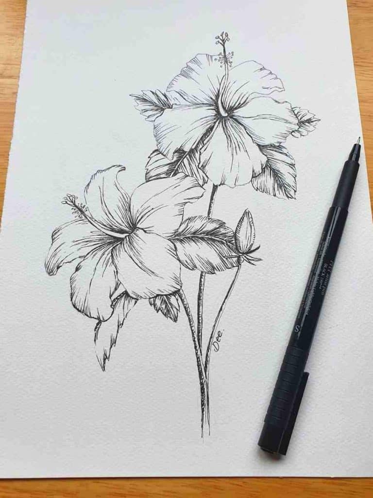 a hibiscus flower drawing in pen on a white page with a pen on lying on the page