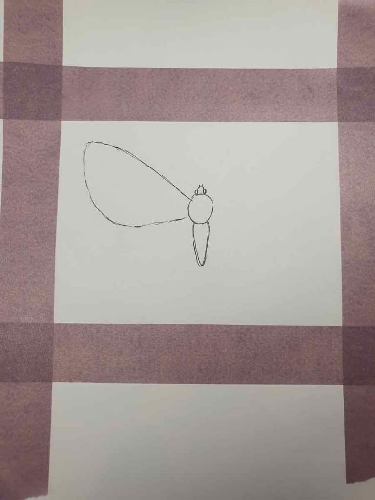 a pencil drawing of the shape of the body of a butterfly with a single wing