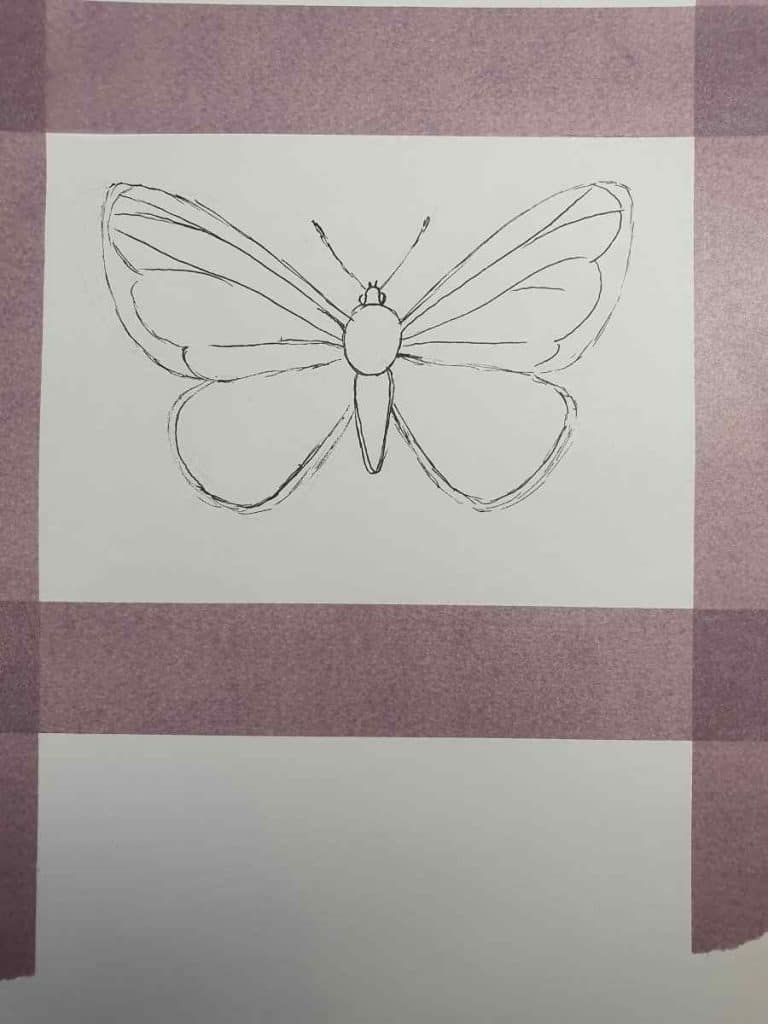 Butterfly drawing
