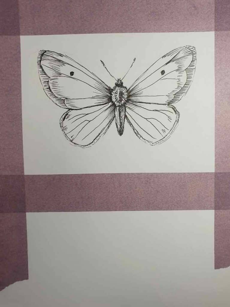 Simple Butterfly drawing in pen