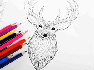 Deer Face Zentangle Line Drawing