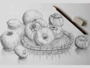 still-life drawing in pencil with dragon fruit