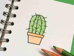 cactus drawing in colored pencil