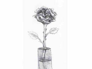 pencil drawing of a rose in a vase