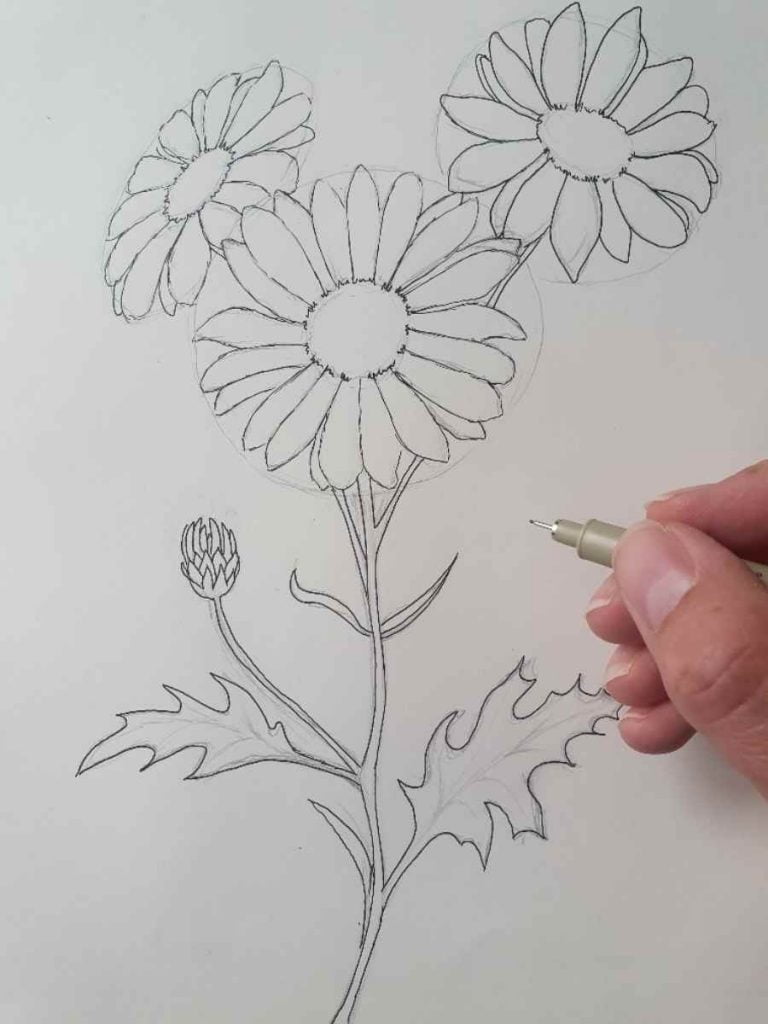 Daisy Flower Drawing in pencil and pen