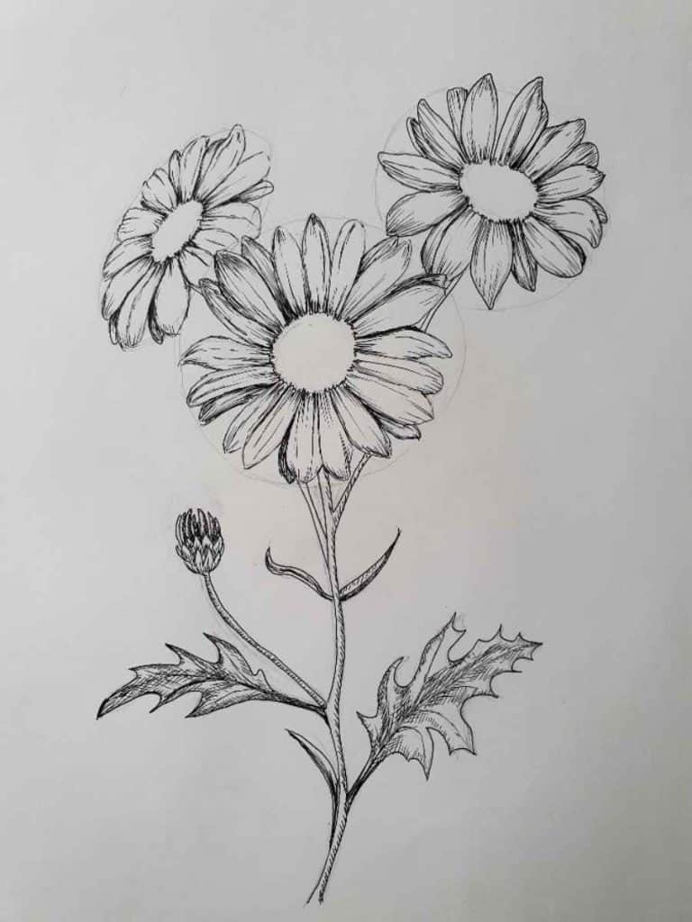 How to do a Daisy Flower Drawing StepByStep Artsydee Drawing