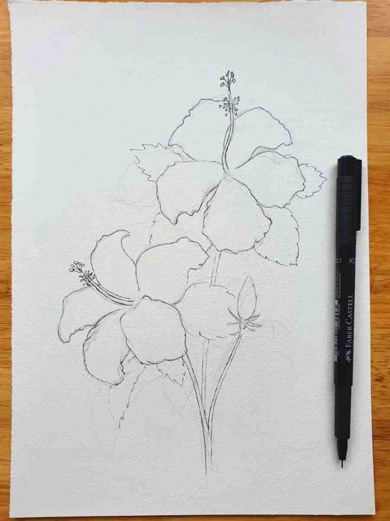 a hand drawing in pen over a pencil drawing of the start of a hibiscus flower drawing