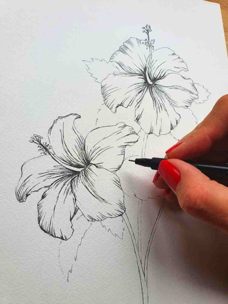 a hand holding a pen drawing a hibiscus flower drawing on white paper