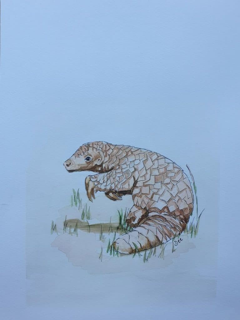 watercolor illustration of a pangolin with a faded watercolor background