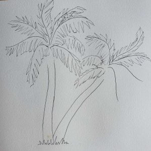 unfinished palm tree pen drawing