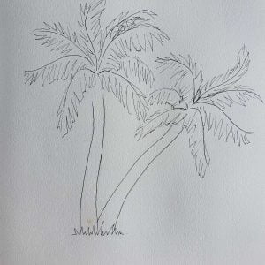 unfinished palm tree pen drawing