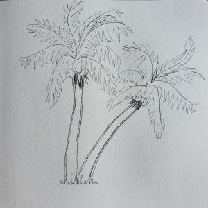 Palm tree drawing in pen on a white background unfinished