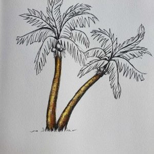 Palm Tree Drawing in Pen on White Paper