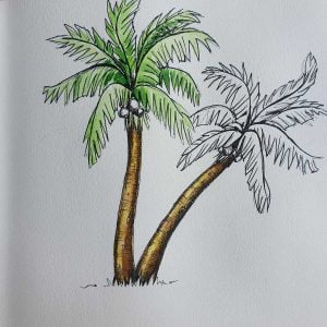Palm Tree Drawing in Pen and Watercolor on White Paper