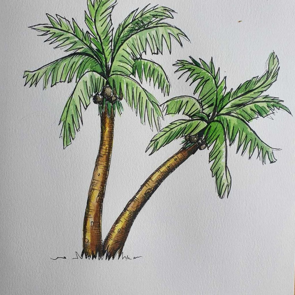 Pen and Watercolor Palm Tree 