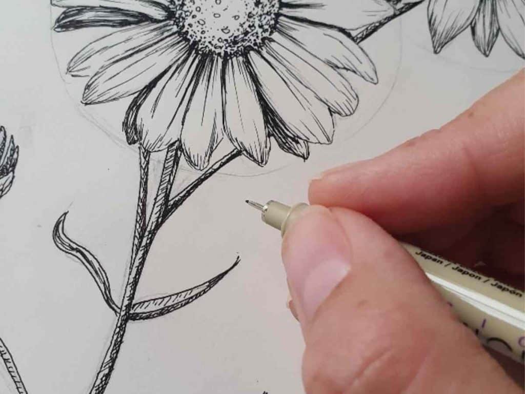 a hand holding a micron pen and drawing a daisy