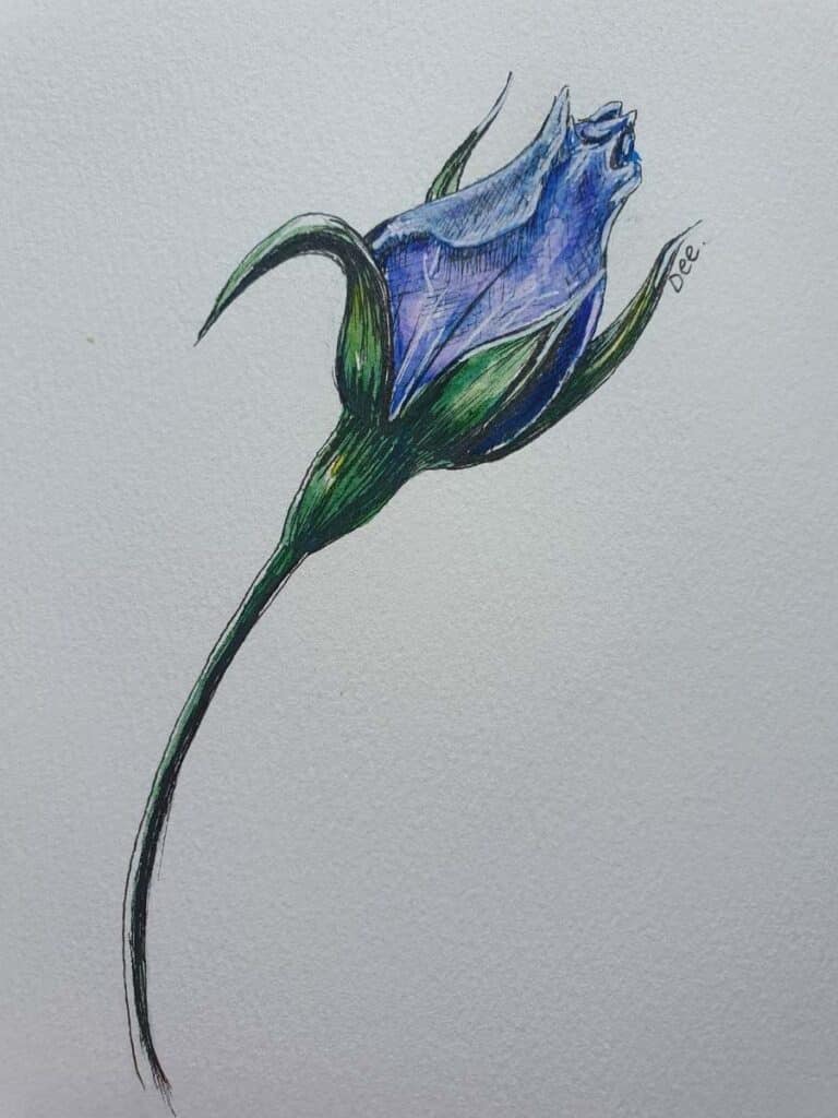 blue rosebud watercolor illustration