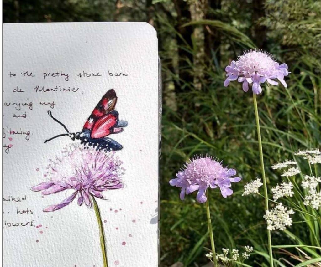Renee Walden's Daily Sketchbook with a butterfly