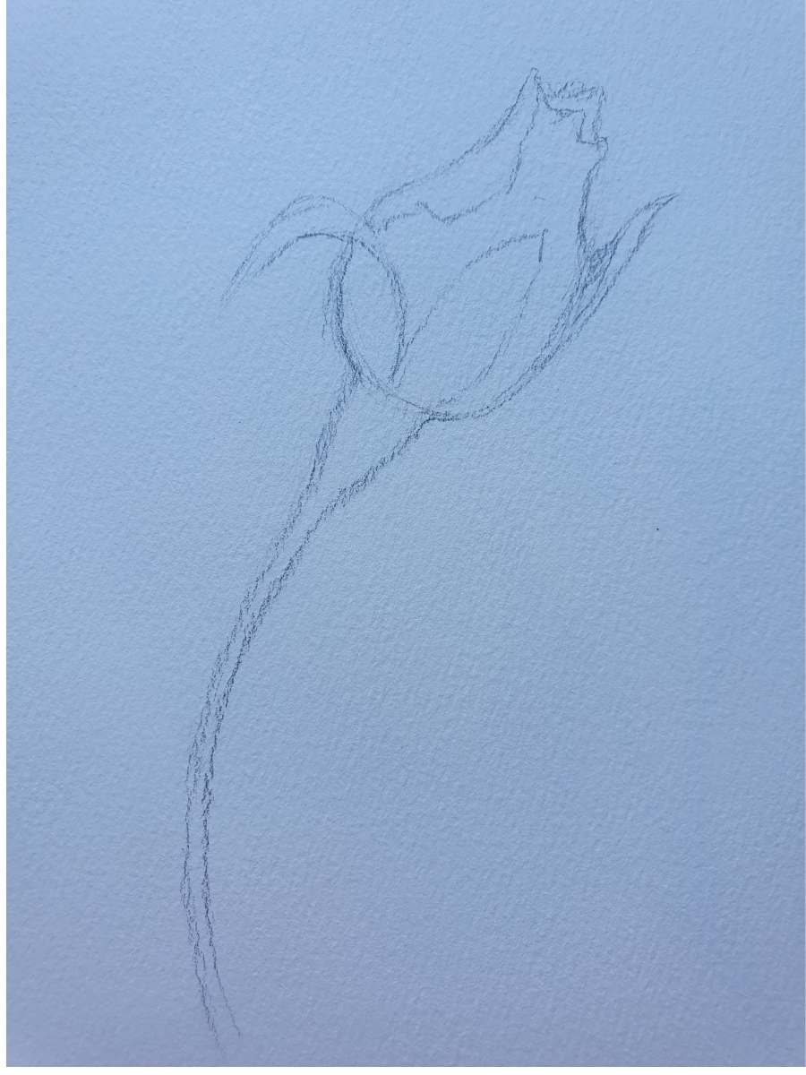 Exquisite Rose Drawing | 3 Easy Step-by-Step Tutorials - Artsydee ...