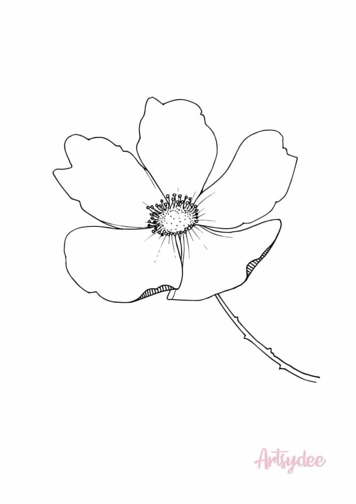 cosmos flower template