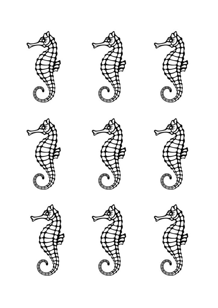 9 small seahorse templates