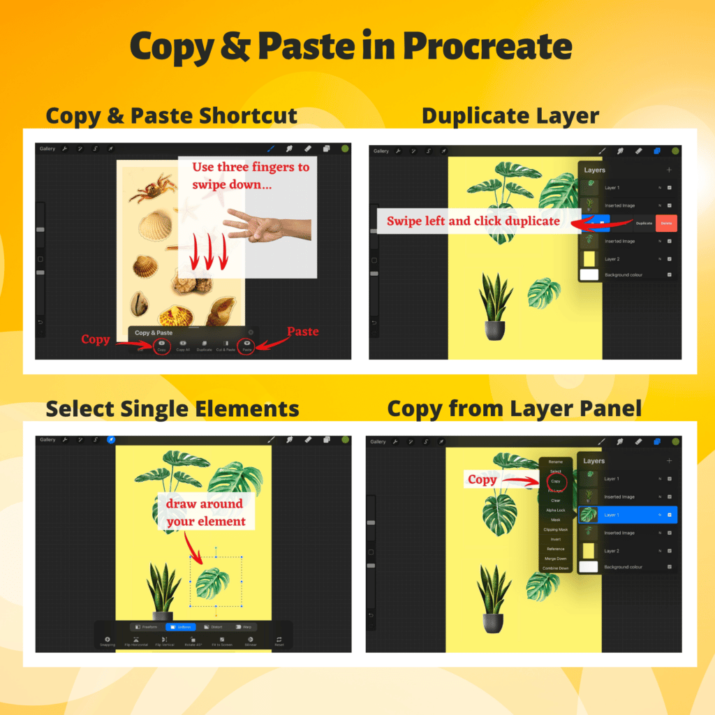 Copy and Paste in Procreate Infographic