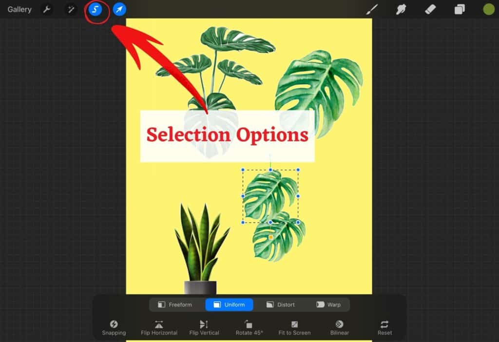 selections options in procreate
