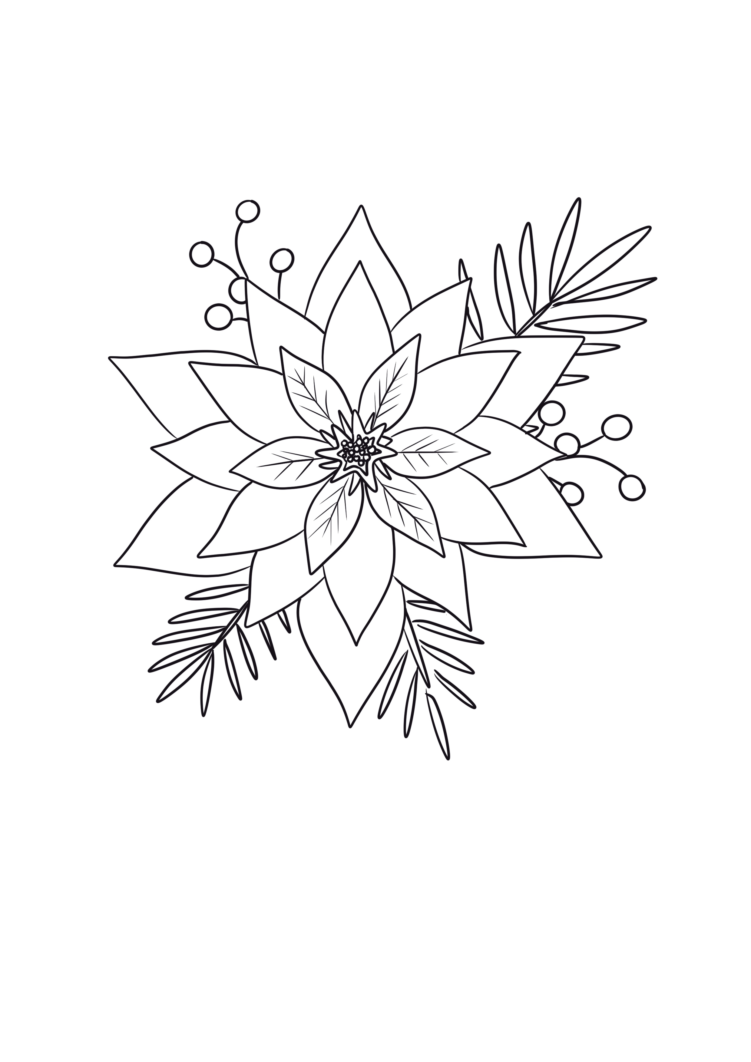 Looking for a Poinsettia template? 5 FREE Poinsettia templates ...
