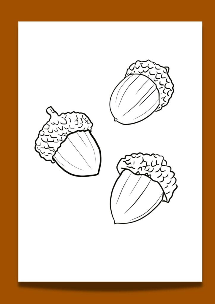 3 acorns printable template