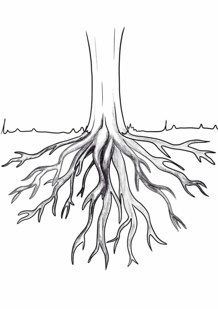 tree drawing with roots and branches Legg Fatersainat