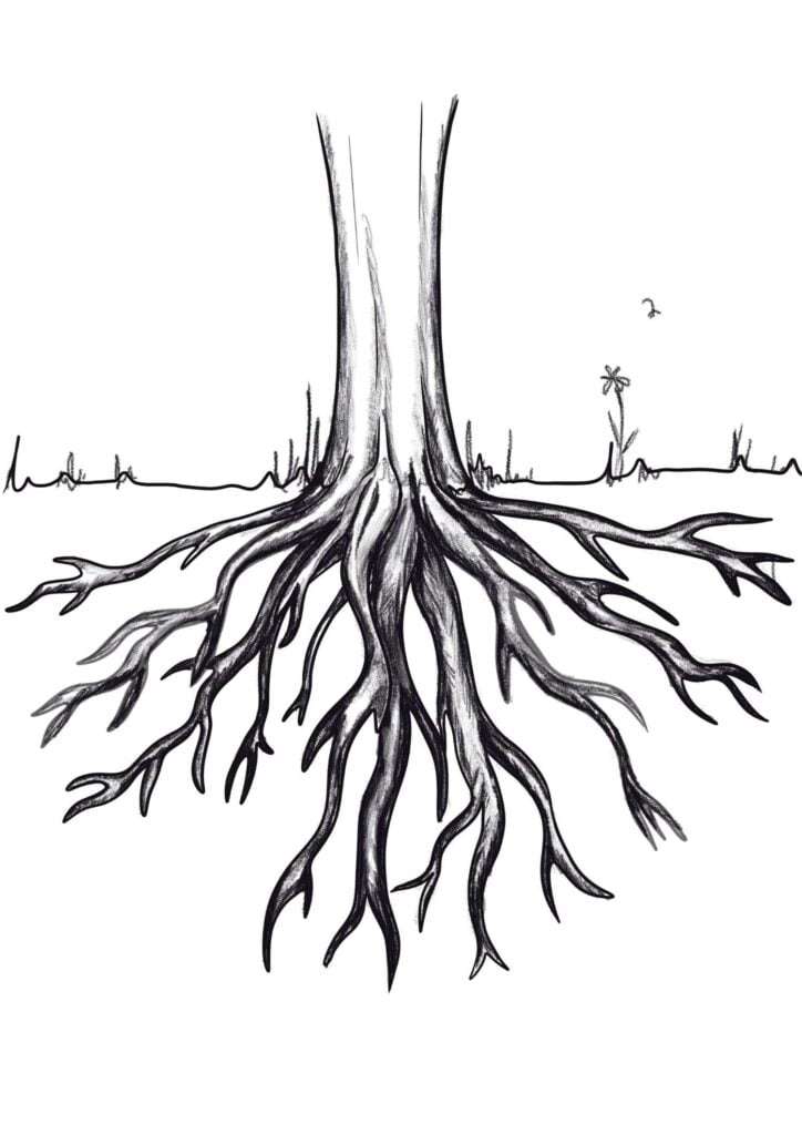 step 9 draw tree roots