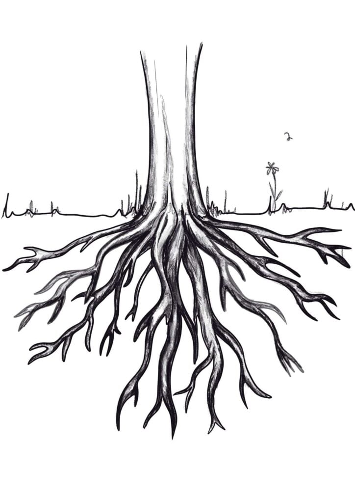 Simple Tree Drawing With Roots