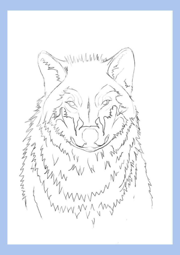 wolf drawing step 12