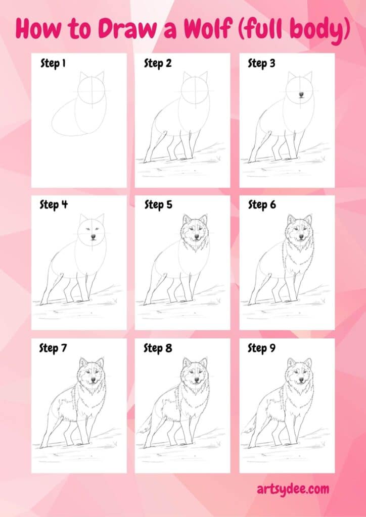 Infographic: how to draw a wolf body