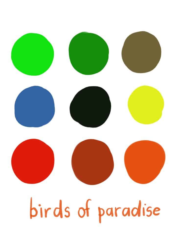 Birds of paradise color palette for procreate