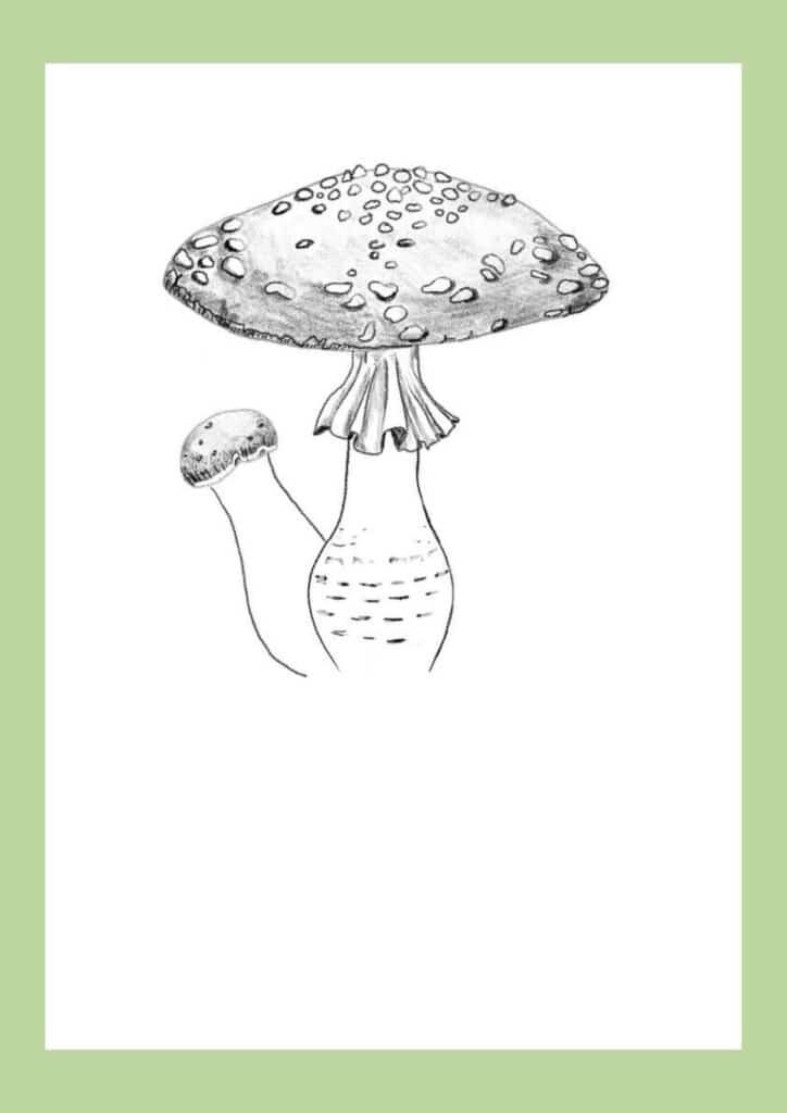 How to draw a mushroom step 10