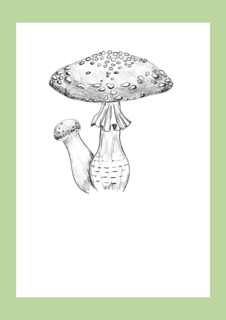 How to draw a mushroom step 11