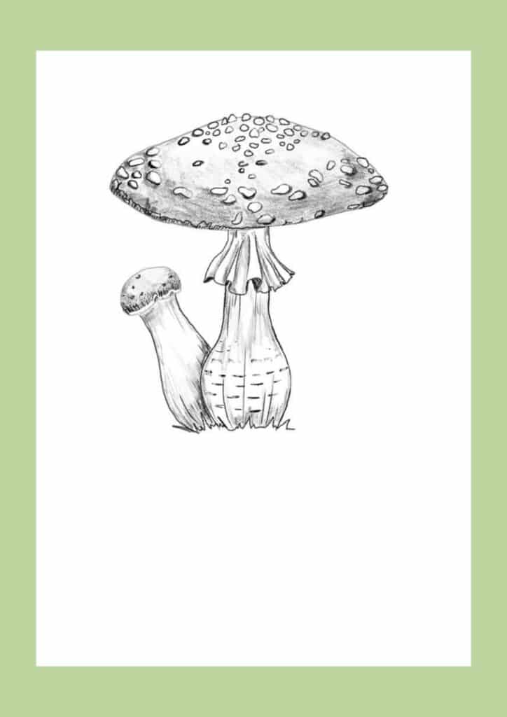 How to draw a mushroom step 13