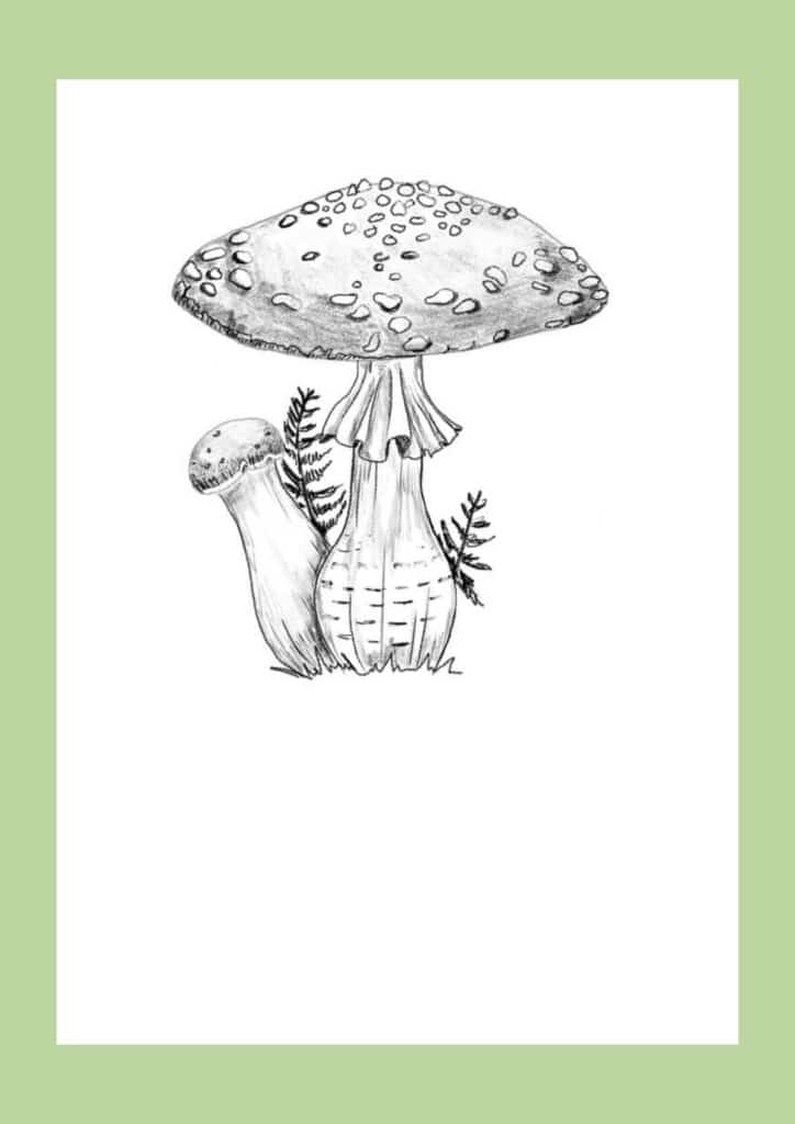 How to draw a mushroom step 14