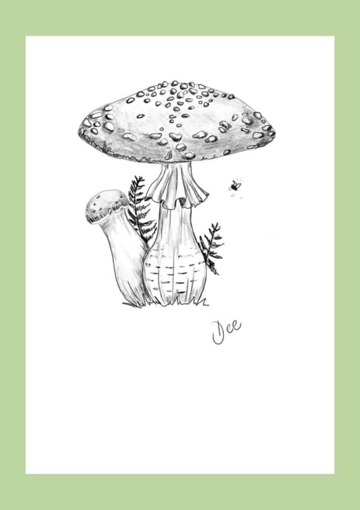 How to draw a mushroom step 15