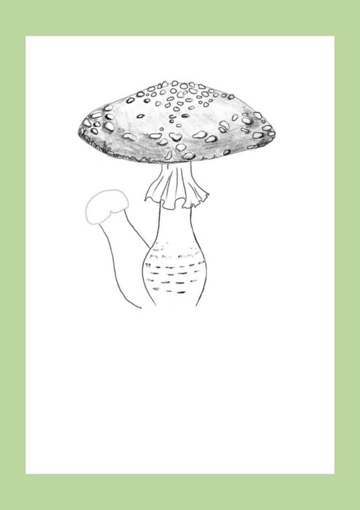 How to draw a mushroom step 8